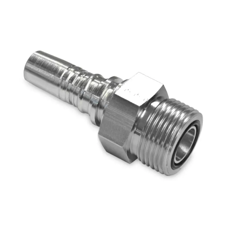 Bild der Kategorie: ORFSM (AG ORFS)